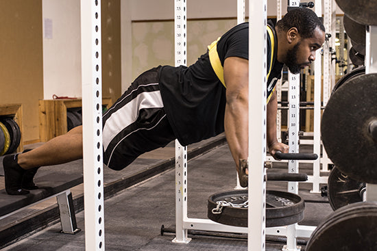 The Fortis Push-Up Harness