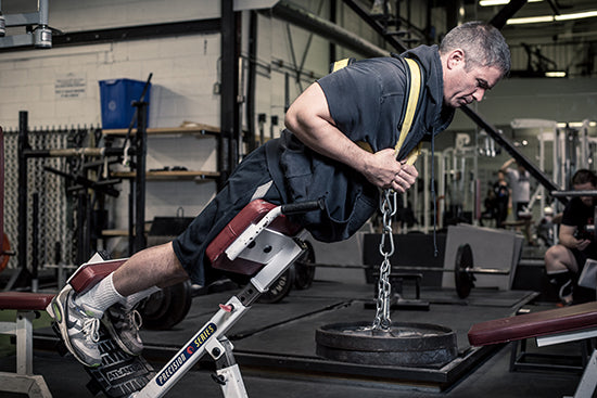 The Fortis Push-Up Harness