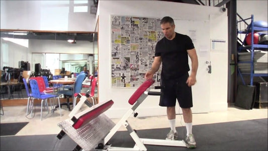 Fortis Back Extension